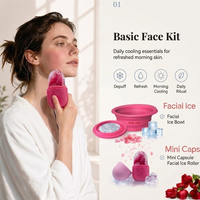 Producto de Moda: Serie de Terapia de Hielo de Silicona, Rodillo de Masaje Facial con Hielo para Enfriar el Cuero Cabelludo, Tazón de Baño Facial con Hielo y Tubo de Respiración