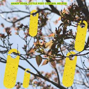 Wholesale Custom Yellow Double Sided Sticky <b>Board</b> Fruit Fly Glue Trap Insect Catcher for Farm Orchard Safe - Product Image 4