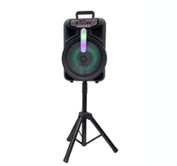 Machine de karaoké avec microphone sans fil à télécommande 5.0, subwoofer de 12 pouces, éclairage LED RVB, alimentation par batterie 20W