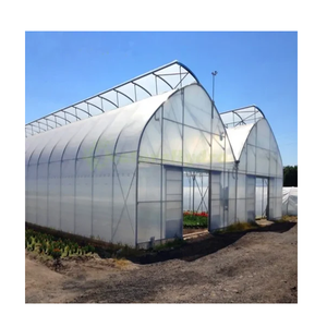 Casa de Cultivo con Techo de Láminas para un Mejor Crecimiento de Cultivos con Ventilación Natural y Estructura Duradera que Brinda una Temperatura Óptima - Product Image 1