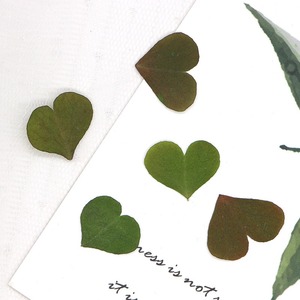 Amor trébol hoja planta espécimen pintura Diy Material en relieve marcapáginas goteo pegamento foto marco flor seca hoja al por mayor - Product Image 2