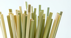 Meilleures ventes et tendances actuelles 2026 : Pailles jetables en paille de blé écologiques certifiées, haute qualité à prix abordable pour la boisson - Product Image 4