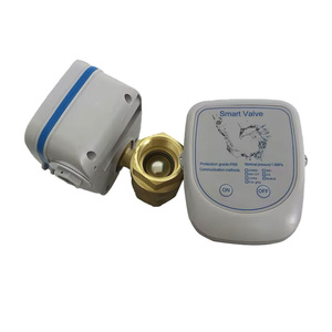 <span class=keywords><strong>3</strong></span>/4 ''thông minh hệ thống thủy lợi điều khiển với van nhiều van Brass lorawan thông minh van nước - Product Image 3