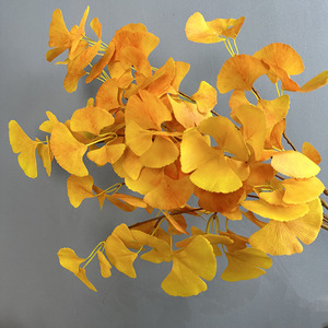 Feuilles de <span class=keywords><strong>Ginkgo</strong></span> pour décoration d'intérieur haut de gamme Feuilles de <span class=keywords><strong>Ginkgo</strong></span> <span class=keywords><strong>Biloba</strong></span> en soie de haute qualité Feuilles de <span class=keywords><strong>Ginkgo</strong></span> artificielles - Product Image 2