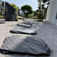 Maison extérieure traditionnelle Villa en ardoise noire naturelle