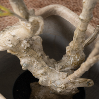 Arbre artificiel en plastique Camélia Rose avec pots - Décoration intérieure et extérieure pour la maison, le jardin, le bureau Fleur lumineuse