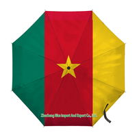 Parapluie pliant avec drapeau des Comores, ouverture et fermeture automatiques, parapluie compact, portable, grand format, pour la protection contre la pluie, résistant au vent
