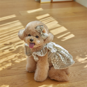 Vestido Floral de Algodão Puro com Renda para Cães e Gatos, Design de Princesa, Roupa para Cães Pequenos Maltês, Atacado - Product Image 3