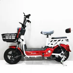 Cheapest Adult Electric Utility Bike Lithium Lead Acid Battery Electric Bicycle Family Cargo Electric Bike With Basket