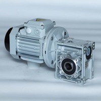 Réducteur à vis sans fin NMRV RV30, montage à bride, arbre creux, rapport 1:5-100, moteur électrique triphasé vertical 380V