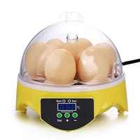 Incubateur miniature de qualité pour 7 œufs de poulet, de canard, d'oiseau, de pigeon - Contrôle numérique de la température, accessoire de nettoyage de cuisine