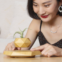Maceta Moderna Levitante Personalizada, Rotación Magnética de 360 Grados, Decoración Inteligente para el Hogar, Macetas de Escritorio