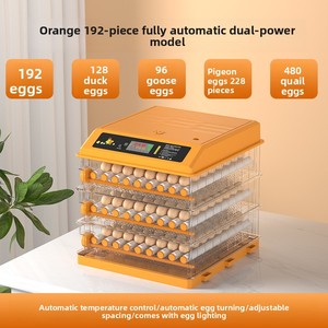 Fully Automatic Small Mini Rectangle Egg <strong>Incubator</strong> Hatching Box Cross-border Constant Temperature Chicken Duck Goose Quail - Product Image 6