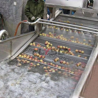 Ligne de production de poudre de tomate, sécheur à bande en acier inoxydable automatique avec revêtement Ti pour la transformation alimentaire