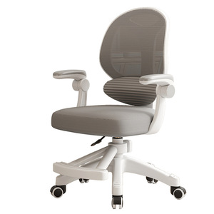<span class=keywords><strong>Silla</strong></span> de aprendizaje ajustable moderna con respaldo de <span class=keywords><strong>escritorio</strong></span> de elevación para estudiantes de escuela primaria en casa para escribir - Product Image 4