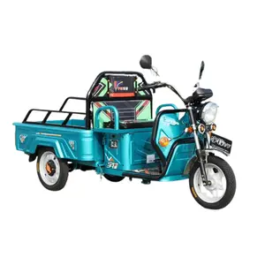 Tricycles électriques à charge lourde haute puissance 1000W 60V Trike à benne basculante pour le transport de marchandises agricoles