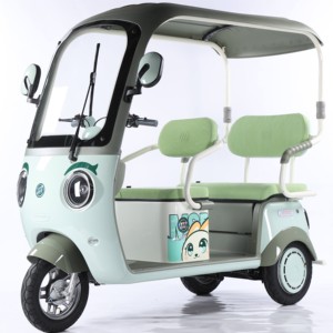 Pedicab Tricycle Scooter 60V Lead-Acid Battery 3 Speed 3 <b>Wheels</b> Carbon Steel Passenger Outdoor Use Brushless - Product Image 2