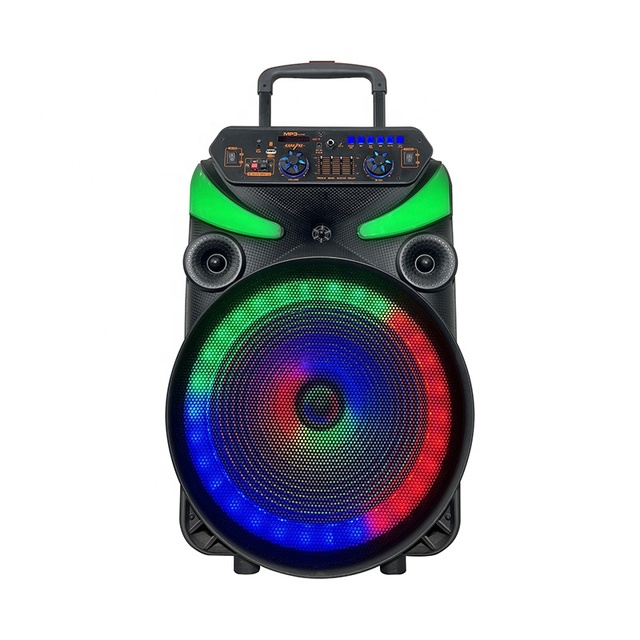 Best Selling Rechargeable Trolley Speaker 15 Inch 60W RGB for 5.3 IPX2 Waterproof Outdoor Party Speaker Built-in Handle