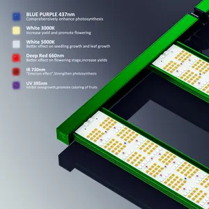 빅 칩 LM301h 1500w 수경 재배 실내 성장 led 성장 조명 UV IR