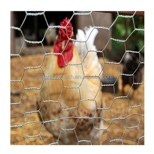 150ft x 4ft lục giác 1/4 inch mạ kẽm gà dây lưới - Product Image 5