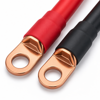 Fil de cuivre avec isolation en PVC 1*0,5 mm Classe A ignifuge pour onduleur et batterie 0,6 KV Anhui