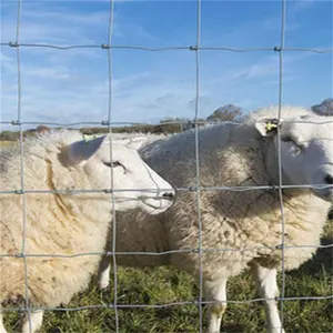 Galvanized Horse / Sheep Wire Cheap Cattle / Field Fencing Livestock Wire Grassland Fence