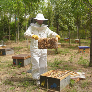 2024 Offre Spéciale aux états-unis équipement d'apiculture costume d'apiculture approvisionnement d'usine costume d'abeille - Product Image 3