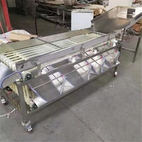 Machine de classement de Fruits rouges de Type piste multifonction commerciale à haute efficacité/trieur de cerises/équipement de tamisage des olives
