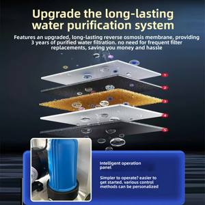 Máquina <span class=keywords><strong>de</strong></span> Nebulización <span class=keywords><strong>de</strong></span> Alta Presión <span class=keywords><strong>de</strong></span> 70-100 bar para Granjas Avícolas, Acero Inoxidable 304 <span class=keywords><strong>con</strong></span> Certificación CE - Product Image 6