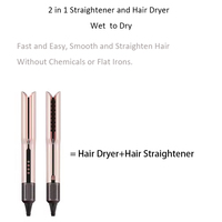 2026 Penjualan Terlaris 2-in-1 Airstyler Pelurus & Catokan Rambut Basah-ke-Kering dengan Layar LCD Ion Negatif