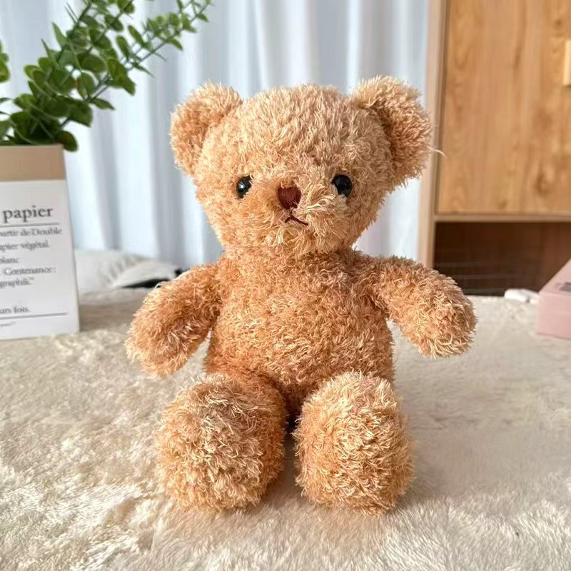 Orso bruno#2