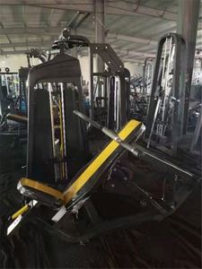 Machine de Fitness <span class=keywords><strong>Cybex</strong></span> et Triceps, appareil de haute qualité, de marque, pour entraînement physique et gymnastique - Product Image 2