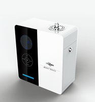 Diffuseur d'air purifiant à commande par application WiFi à écran tactile intelligent, étiquette personnalisée, vente chaude, utilisation hôtelière, batterie, métal, >200 ml, 1 an, CE