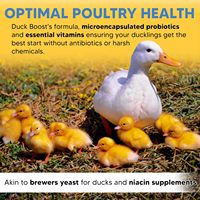 Complément Essentiel pour Oiseaux Aquatiques Flock Pro's Duck Boost avec Probiotiques, Levure de Bière en Poudre et Origan