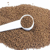 Ligne de production de nourriture pour animaux de compagnie à double vis extrudeuse XILANG, livraison d'usine de Jinan