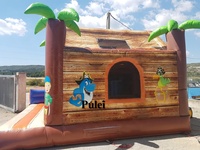 Château de saut gonflable Commercial pour enfants, pour adultes, avec grand toboggan, pas cher, maison avec lanceur