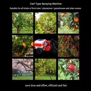 Pulverizador Agrícola de Alta Presión de Tres Ruedas, Tipo Montable, <span class=keywords><strong>para</strong></span> Huertos y Árboles <span class=keywords><strong>Frutales</strong></span>, Bomba Principal <span class=keywords><strong>para</strong></span> Gasolina y Diésel - Product Image 4