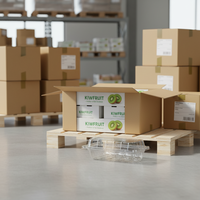 Boîte d'emballage alimentaire transparente pour mini-pâtisseries, gâteaux, kiwis, fruits, avec couvercle à boucle, 3 compartiments, en PET écologique, 75x50mm, 205x105x50mm, haute transparence