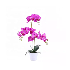 Bonita decoración de sala de estar Deliciosa planta variada molde Monstera nueva orquídea Artificial bonsái flores hechas de plástico duradero - Product Image 6