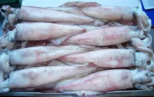 ราคาดี Froen Loligo ปลาหมึกทั้งตัวใน Loligo