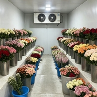 Personnalisé industriellement 0~5 ℃   Chambre froide à économie d'énergie pour la conservation des fruits frais, des fleurs, des produits laitiers et des jus