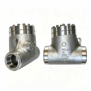 Válvula de Retención de Metal CF8C para Control de Flujo de Agua, Válvula de Retención de Acero Inoxidable de 10 Pulgadas - Product Image 3