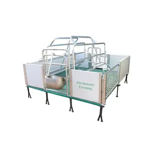 Modern Pig Farming Equipment Hot-Dipped Galvanized Farrowing Crates for pigs