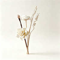 Diffuseur de parfum d'ambiance en bois de Sola naturel avec bâtonnets en rotin, accessoire décoratif pour aromathérapie en bouteille de verre