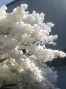 עץ פריחת דובדבן מלאכותי עץ פריחת דובדבן יפני עץ פריחת צבע - Product Image 3