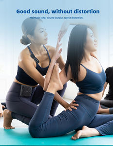 Micrófono Lavalier con altavoz inalámbrico para guía turístico de conferencias de enseñanza - Product Image 4