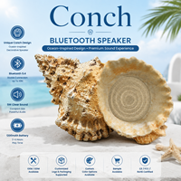 Altavoz Bluetooth con Diseño de Concha de Nautilus, Altavoz Decorativo para Estantería Inspirado en el Océano, Audio para el Hogar