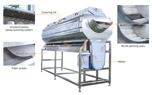 Máquina Peladora de Patatas Industrial a <span class=keywords><strong>Precio</strong></span> de Fábrica, Máquina Peladora de Jengibre, Máquina Peladora de Zanahorias Automática Sus 304 - Product Image 3