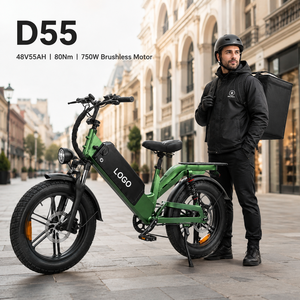 Vélo électrique à pneus larges anti-crevaison D55, 48V 55Ah, autonomie 240 km, 750W, puissant, pour livraison sur routes difficiles - Product Image 1