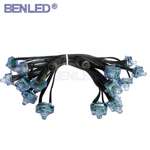 Không Thấm Nước Vuông <span class=keywords><strong>Bullet</strong></span> 12Mm 12V Đầu Tròn Rõ Ràng <span class=keywords><strong>Led</strong></span> <span class=keywords><strong>Pixel</strong></span> Module - Product Image 1